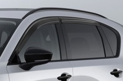 SPORT SIDE VISOR ACS