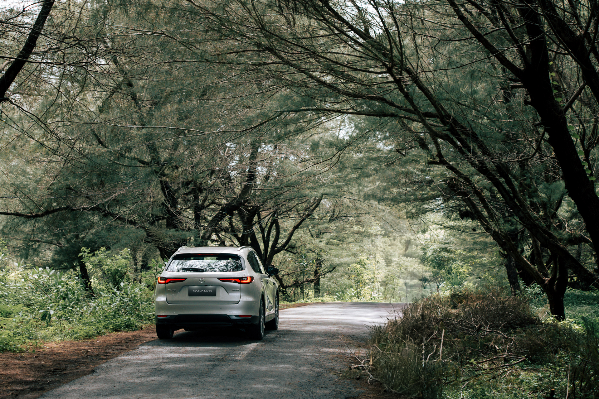 Mobil SUV 6 Seater Simbol Baru Kemewahan Keluarga Modern