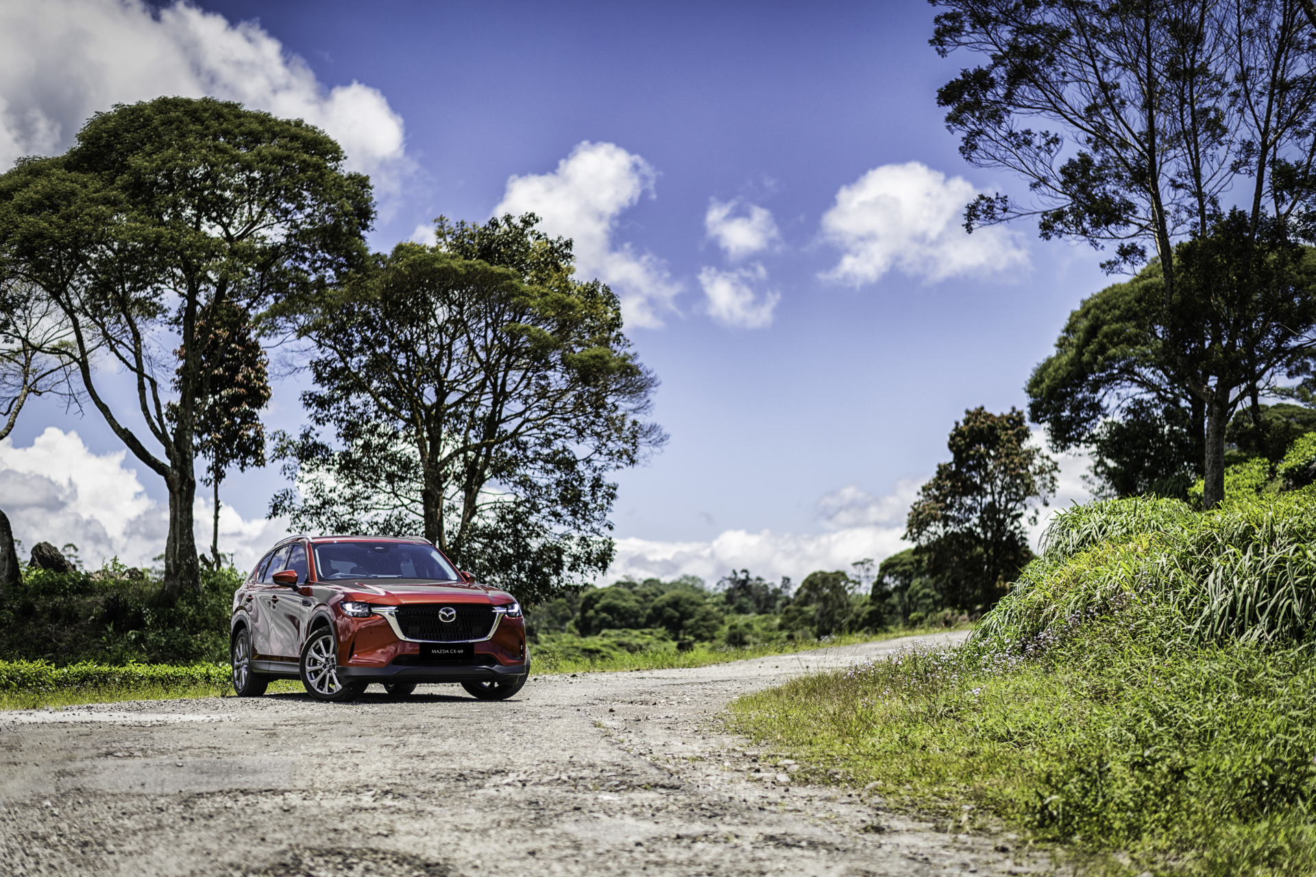 Jenis Mobil SUV Mazda Panduan Segmen Dari Compact Hingga Flagship