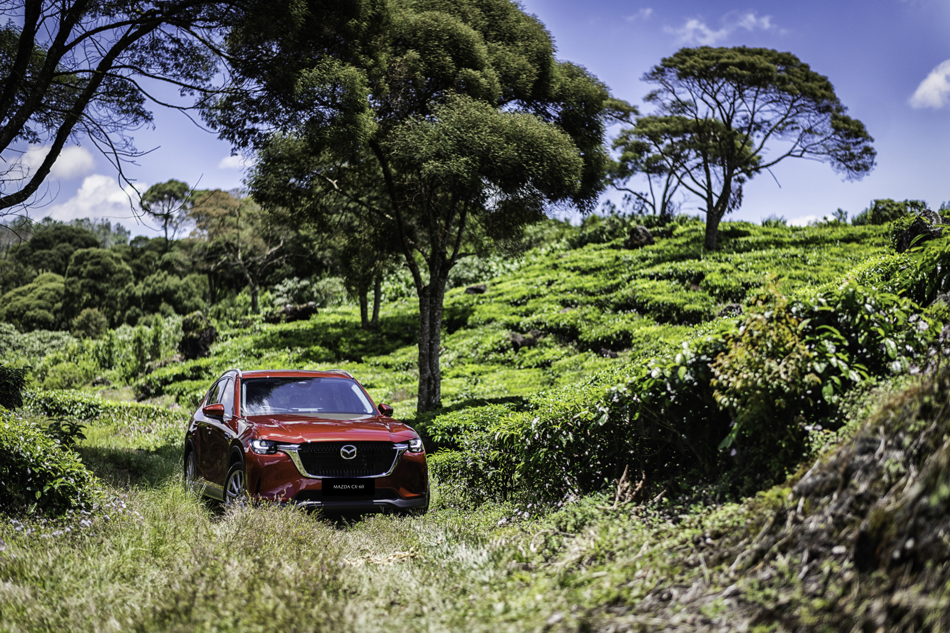 Mobil Mewah SUV Definisi Kemewahan Mazda CX 60 (1)