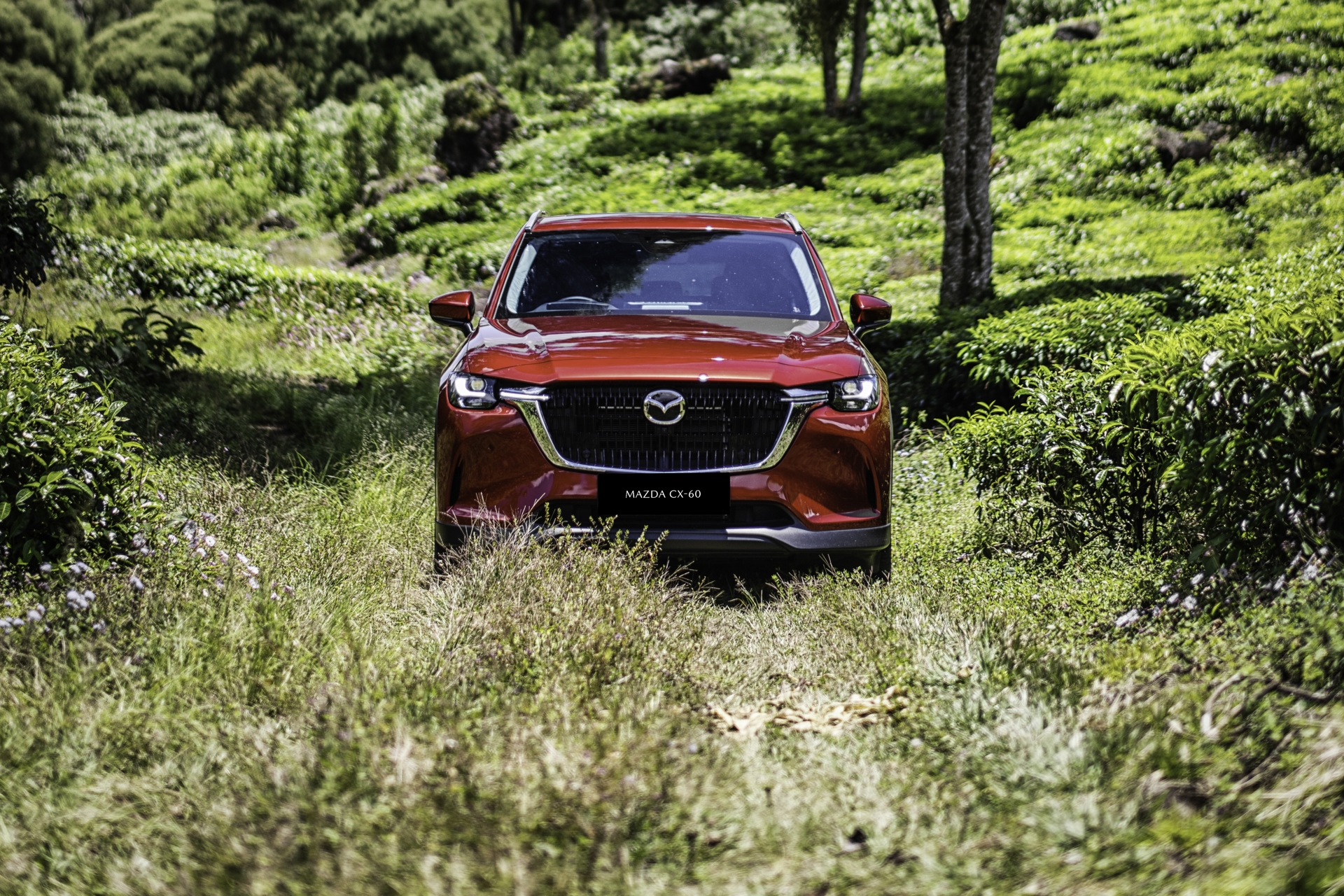 SUV Mewah Mazda Membedah Mazda CX 60 Dan CX 80
