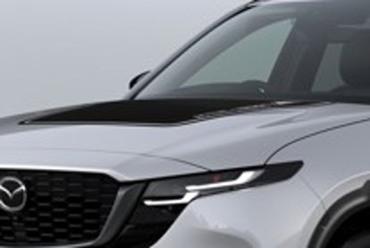 HOOD DECAL ACS