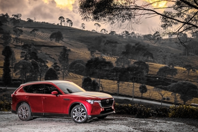 Mobil SUV Keluarga: Standar Stabilitas & Proteksi Road Trip